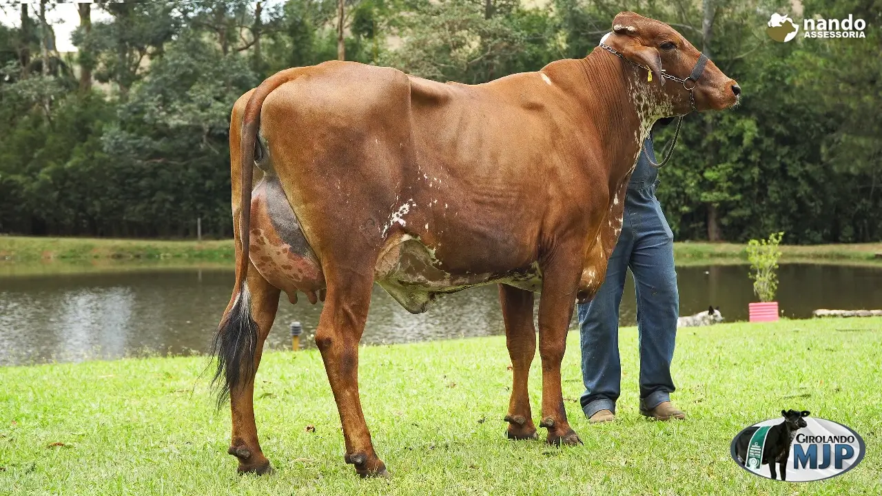 CentroGen - Tecnologia e Genética Bovina